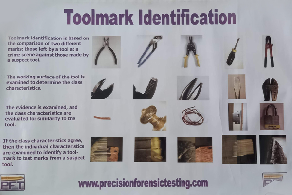 Forensic charts